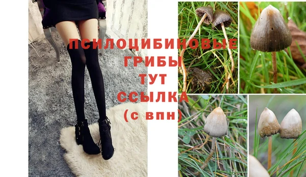 бошки Приозерск