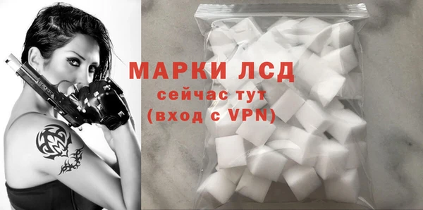СК Протвино