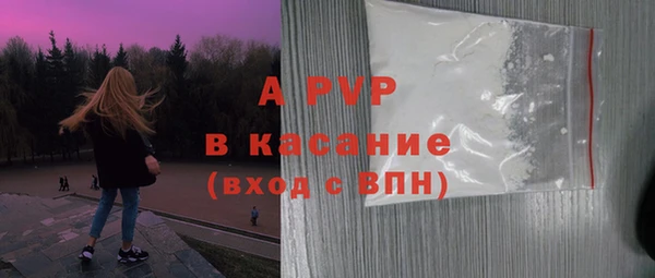 СК Протвино