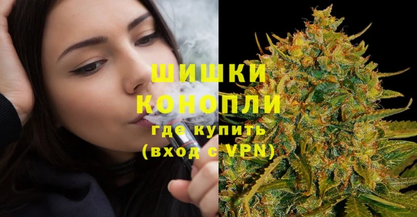 СК Протвино