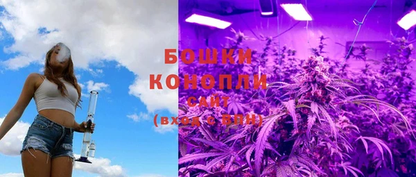 СК Протвино