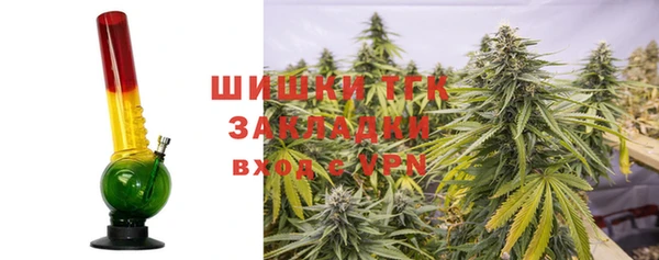 СК Протвино