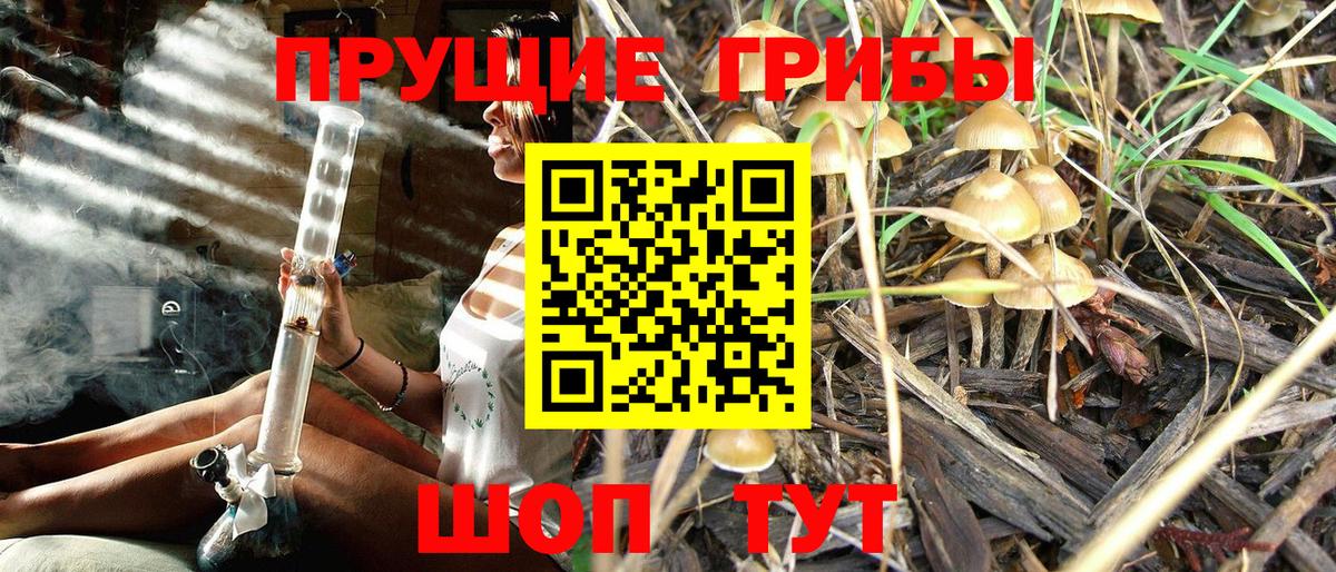 Соликамск  Псилоцибиновые грибы Cubensis  Галлюциногенные грибы MAGIC MUSHROOMS  Вход с VPN 